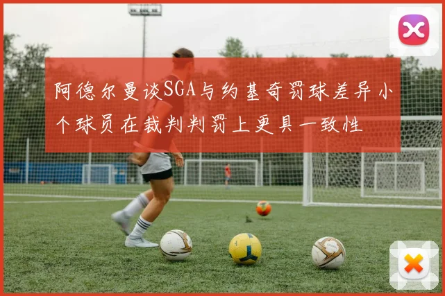 阿德尔曼谈SGA与约基奇罚球差异小个球员在裁判判罚上更具一致性