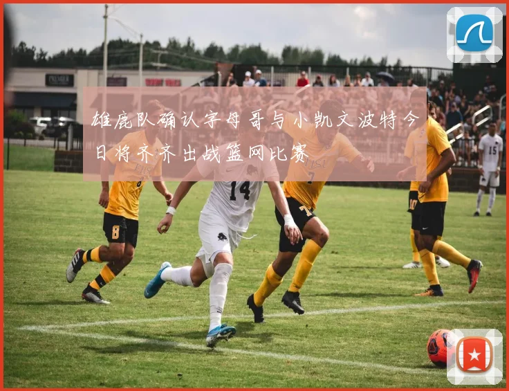 雄鹿队确认字母哥与小凯文波特今日将齐齐出战篮网比赛