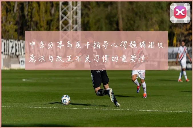 申京分享乌度卡指导心得强调进攻意识与改正不良习惯的重要性